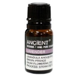 Lavender 10ml